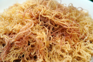 Wildcrafted Irish Sea Moss